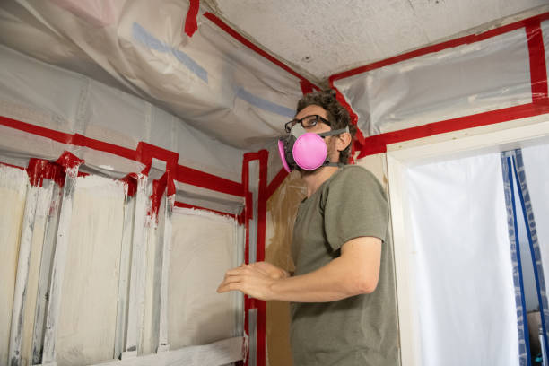 Best Crawl Space Mold Remediation  in Wilson, PA