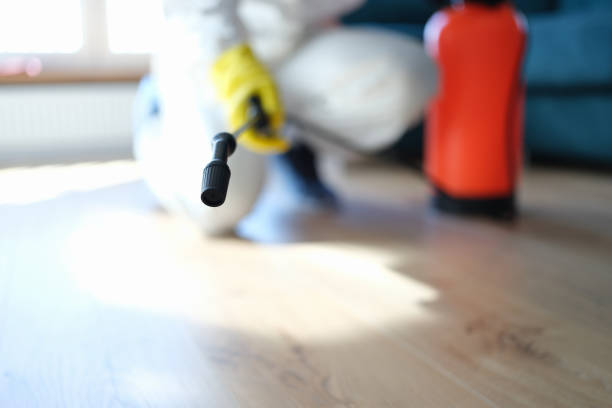 Best HVAC Mold Inspection and Cleaning  in Wilson, PA