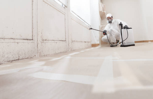 Biohazard Mold Removal in Wilson, PA